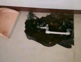 伽师卫生间测漏水多少钱